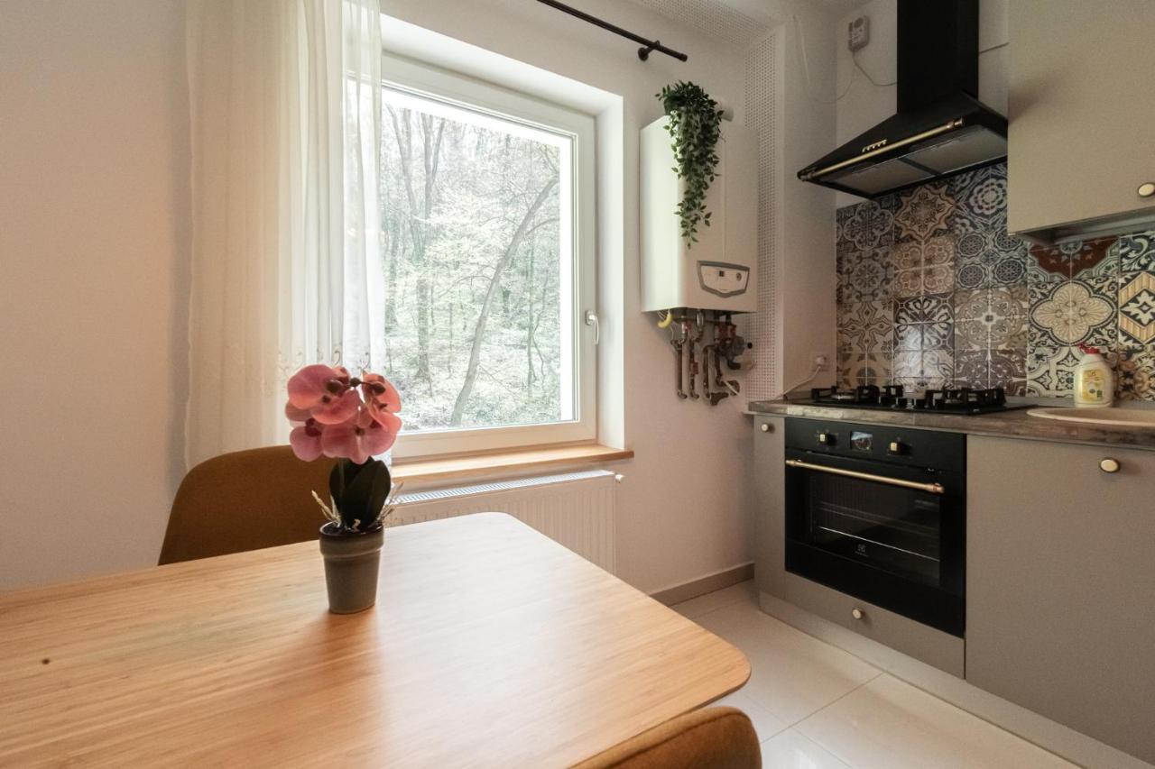 Nature Apartment - Minutes Away From The Old Town And Afi Mall Brašov Exteriér fotografie